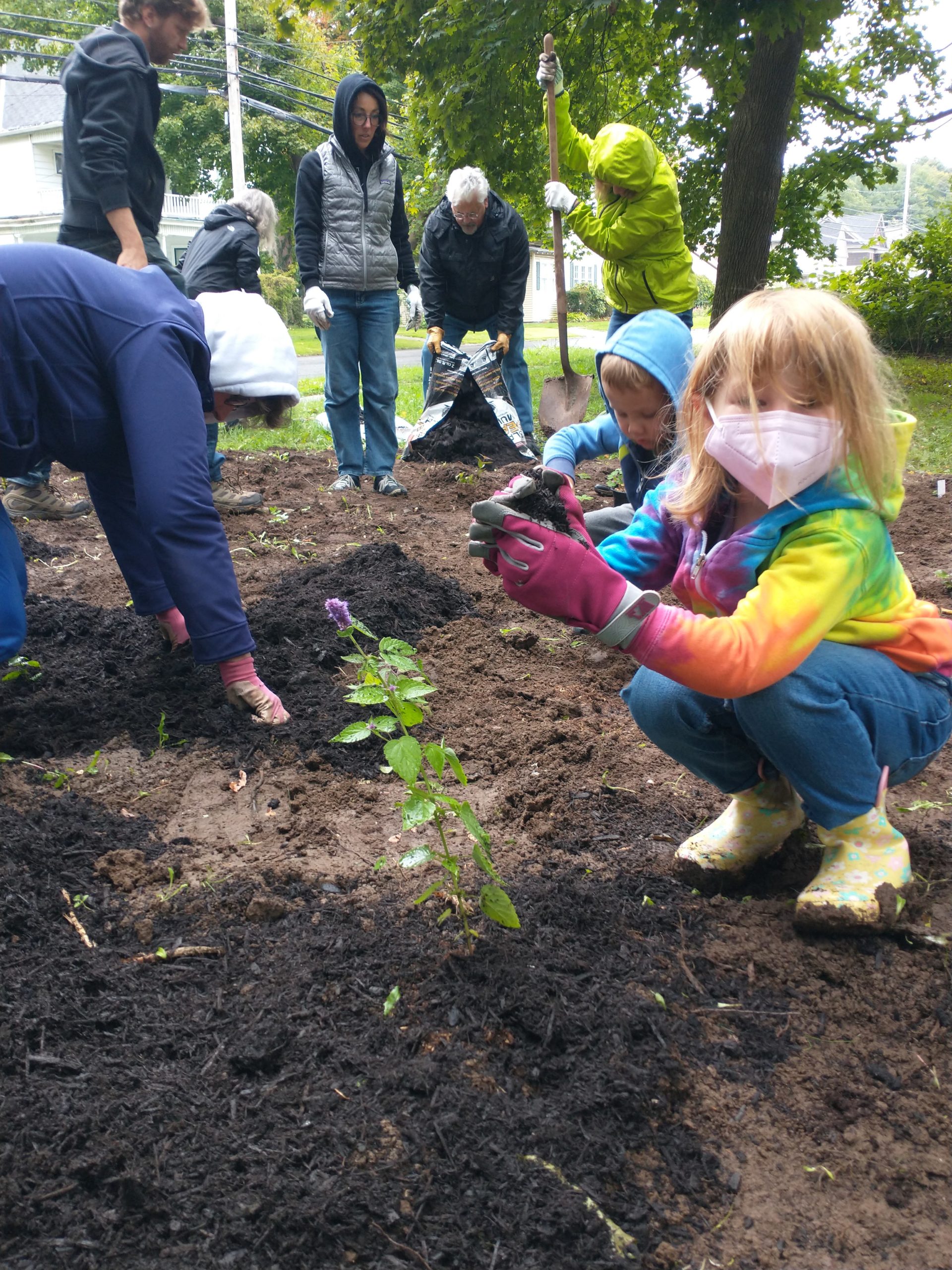 Butterfly Garden 2022