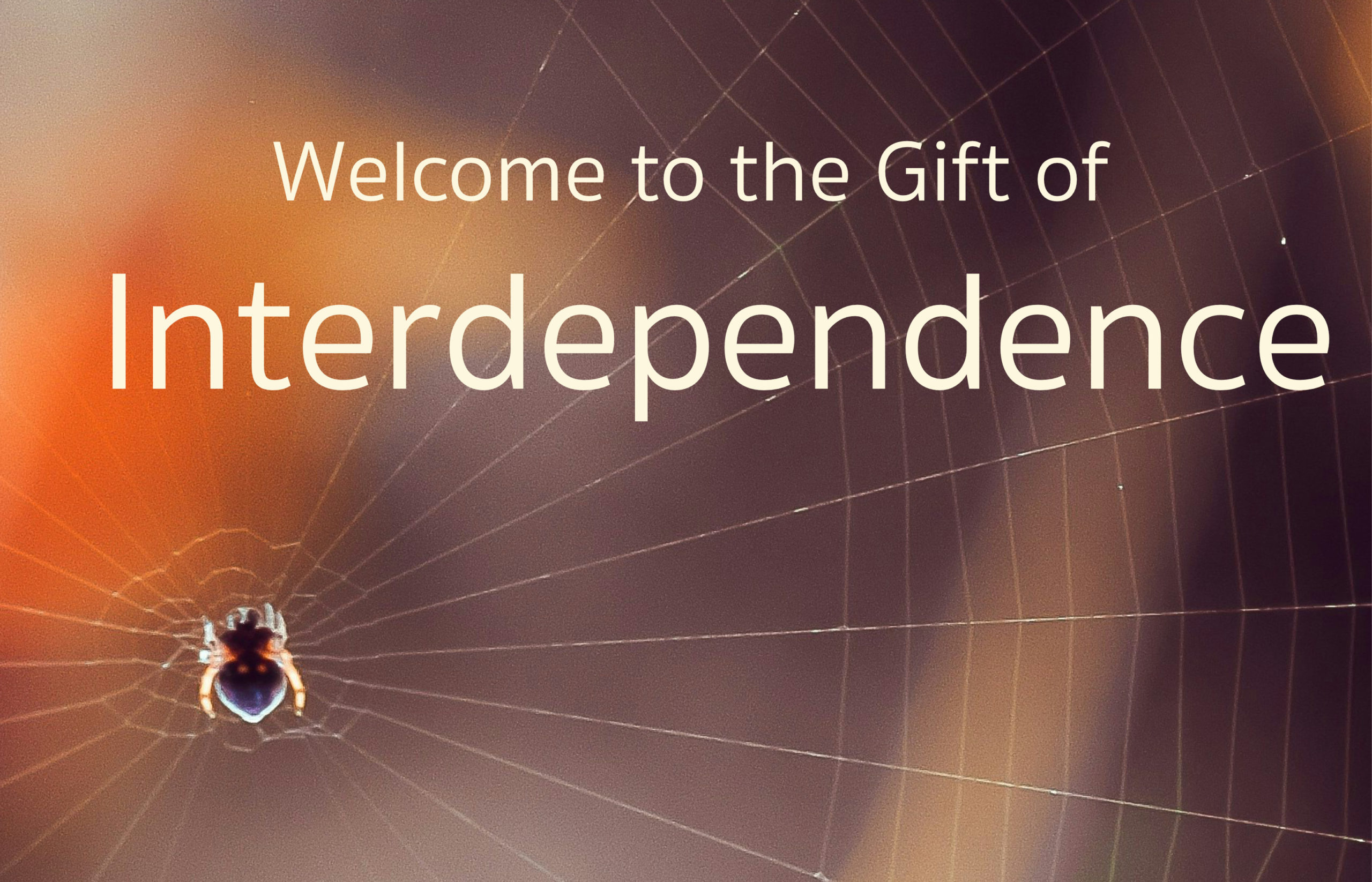 Welcome to the Gift of Interdependence