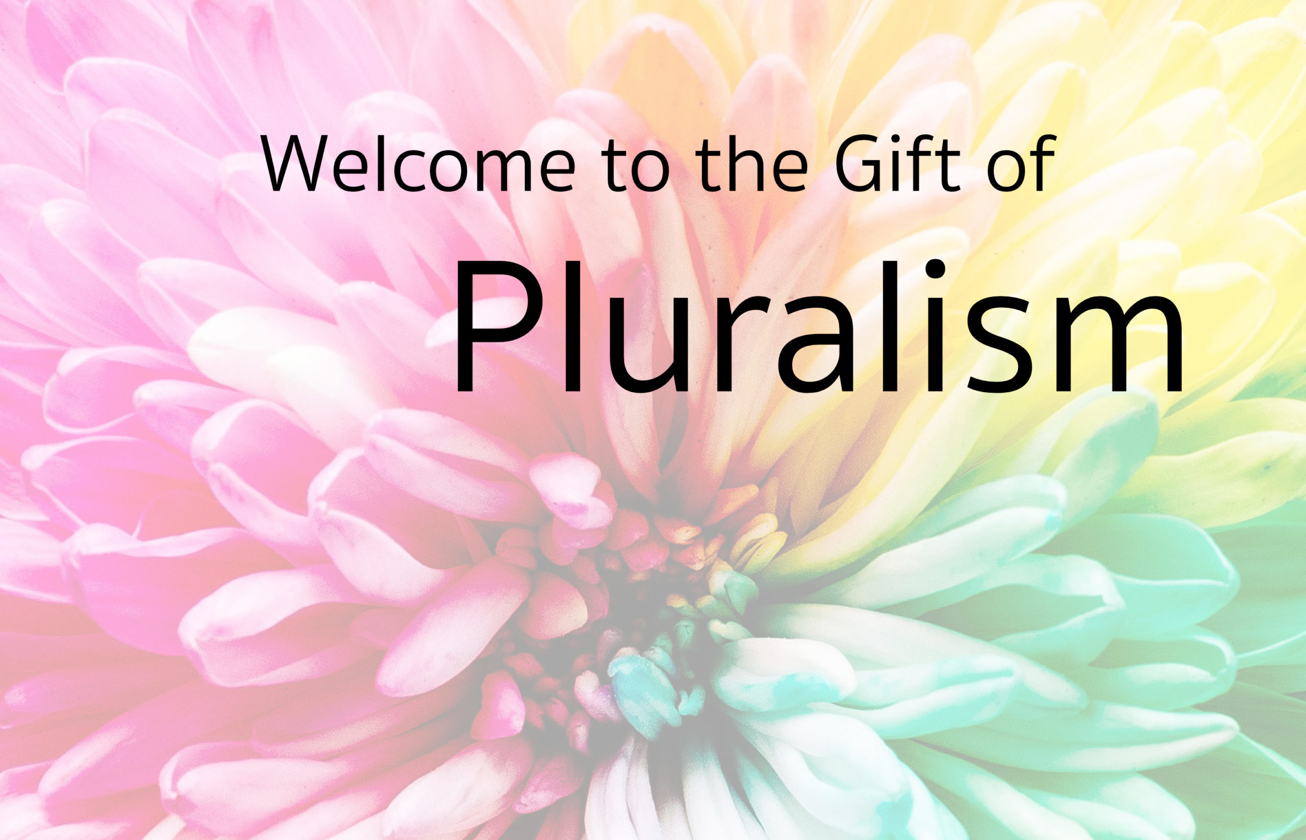 Welcome to the gift of pluralism