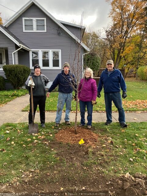 Urban Tree Project