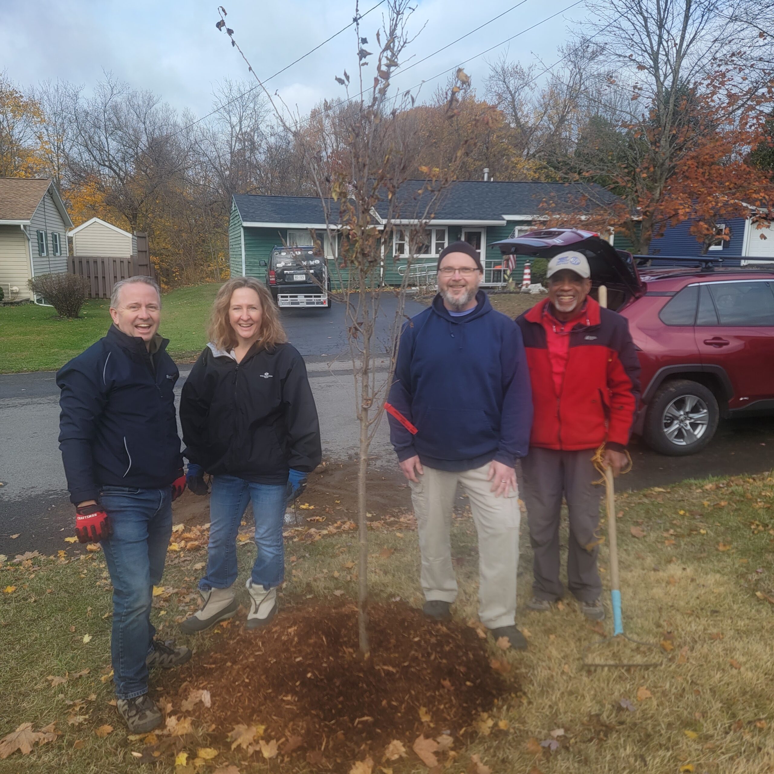 Urban Tree Project 2024