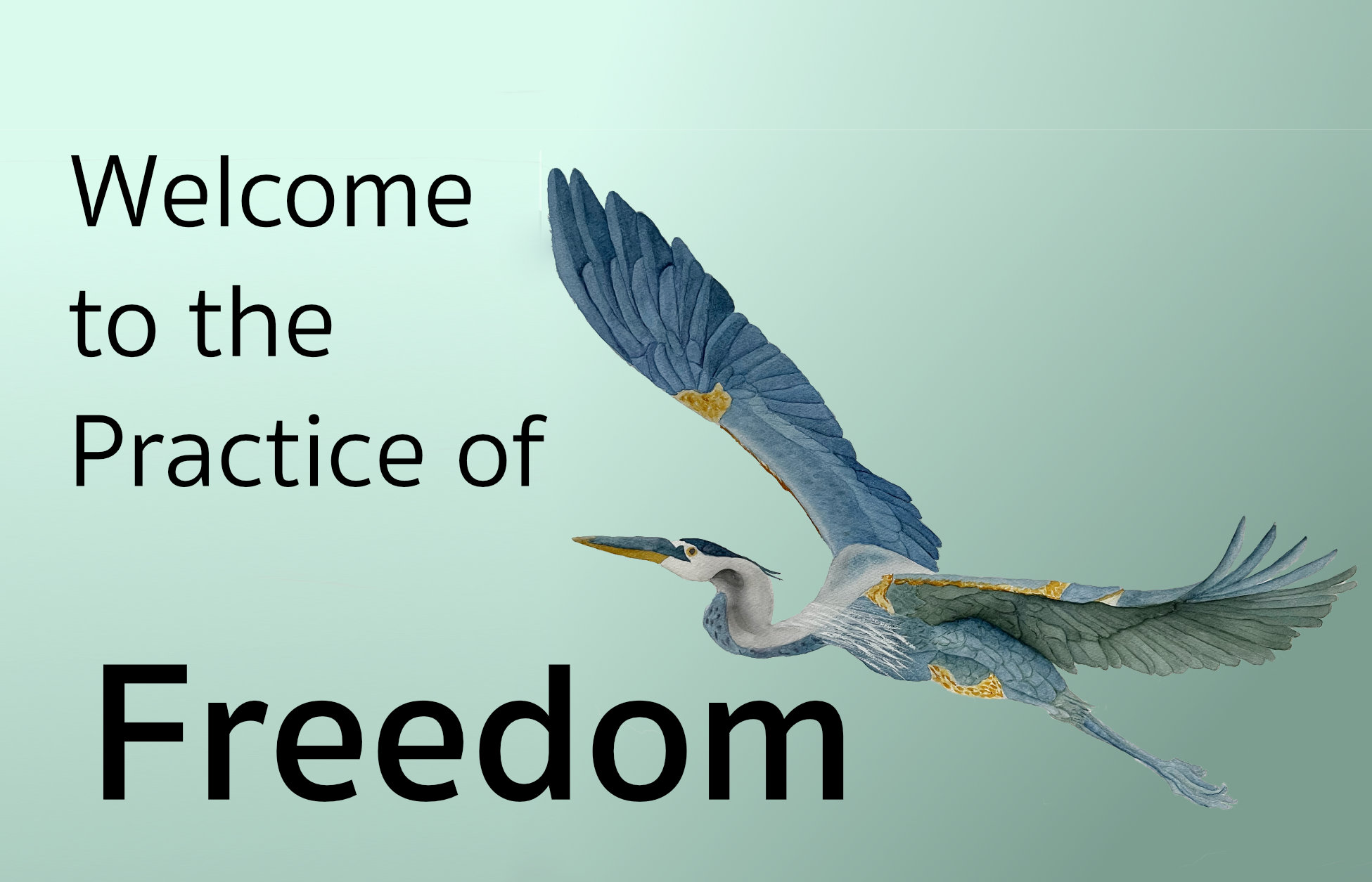 Welcome to the Month of Freedom
