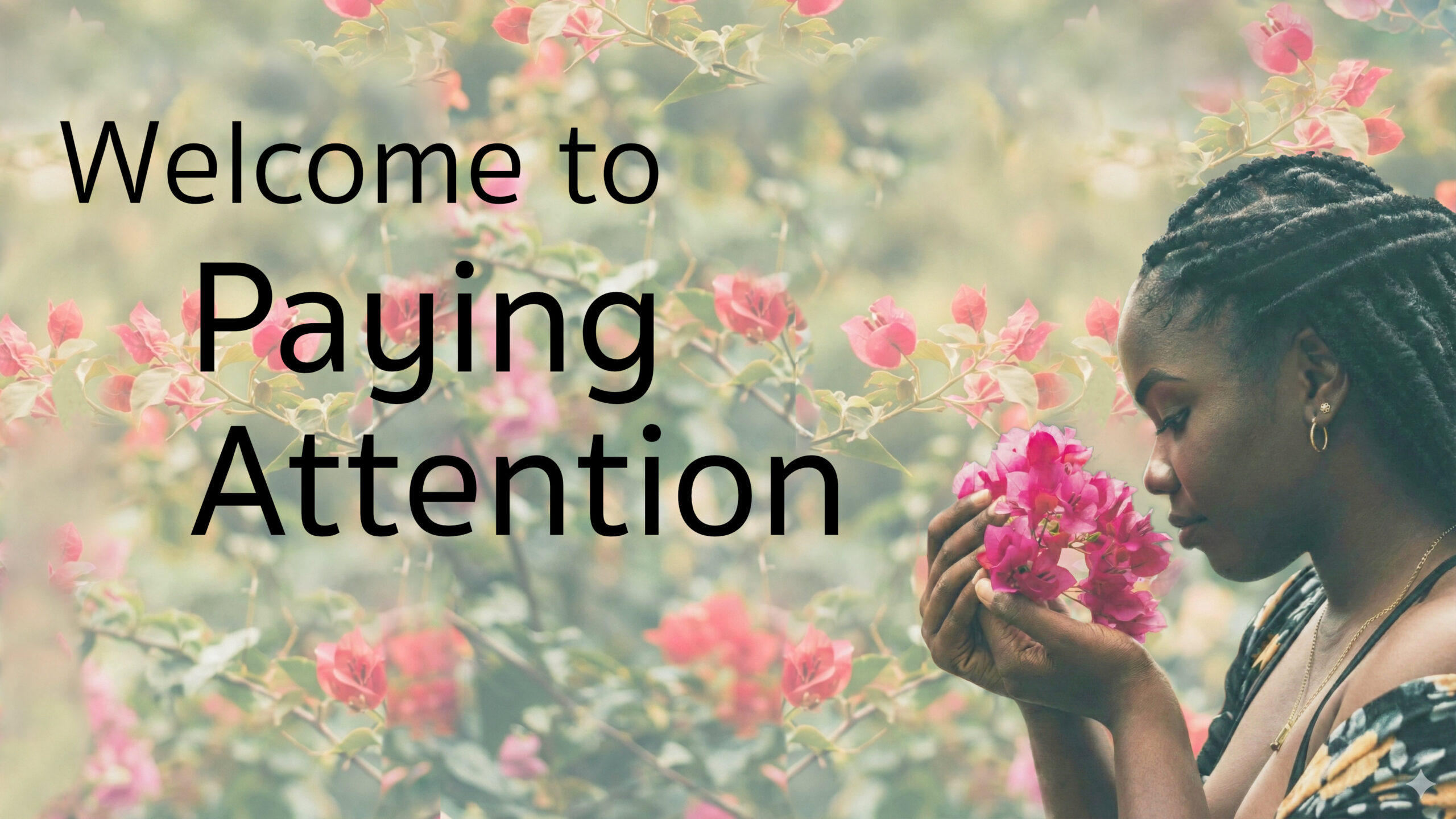 Welcome to Paying Attention